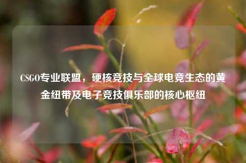 CSGO专业联盟,硬核竞技与全球电竞生态的黄金纽带及电子竞技俱乐部的核心枢纽