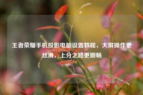王者荣耀手机投影电脑设置教程，大屏操作更丝滑，上分之路更顺畅