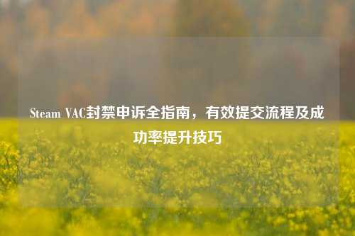 Steam VAC封禁申诉全指南,有效提交流程及成功率提升技巧