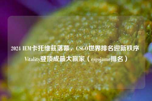 2024 IEM卡托维兹落幕，CSGO世界排名迎新秩序 Vitality登顶成更大赢家（csgojame排名）