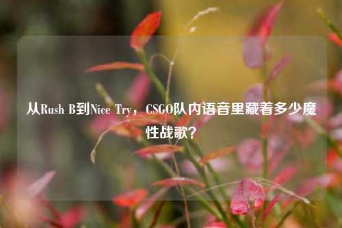从Rush B到Nice Try,CSGO队内语音里藏着多少魔性战歌?