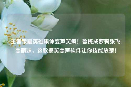 王者荣耀英雄集体变声笑疯!鲁班成萝莉张飞变萌妹,这款搞笑变声软件让你技能放歪!