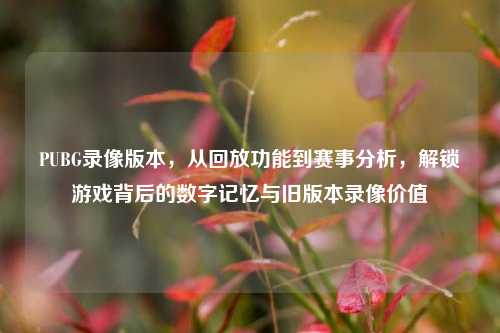 PUBG录像版本,从回放功能到赛事分析,解锁游戏背后的数字记忆与旧版本录像价值
