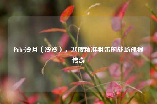 Pubg冷月（冷冷），寒夜精准狙击的战场孤狼传奇