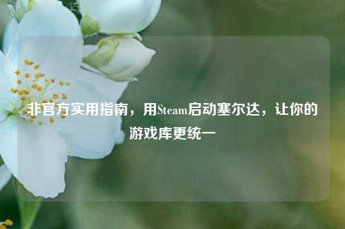 非官方实用指南，用Steam启动塞尔达，让你的游戏库更统一
