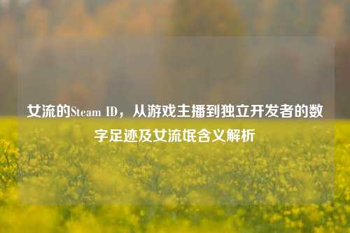 女流的Steam ID，从游戏主播到独立开发者的数字足迹及女流氓含义解析