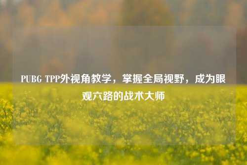 PUBG TPP外视角教学,掌握全局视野,成为眼观六路的战术大师