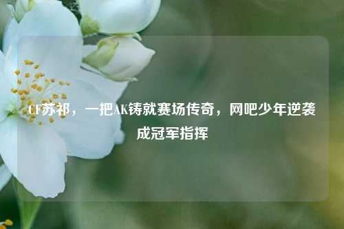 CF苏祁,一把AK铸就赛场传奇,网吧少年逆袭成冠军指挥
