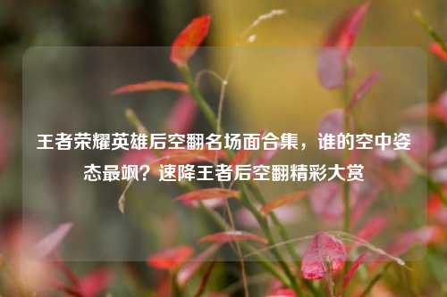 王者荣耀英雄后空翻名场面合集,谁的空中姿态最飒?速降王者后空翻精彩大赏