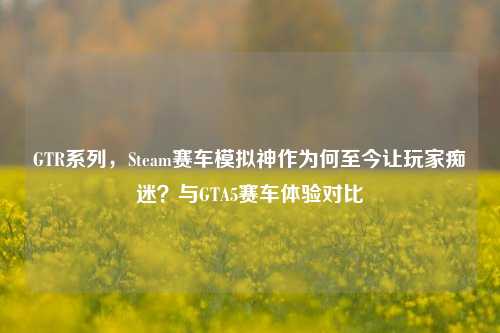 GTR系列,Steam赛车模拟神作为何至今让玩家痴迷?与GTA5赛车体验对比