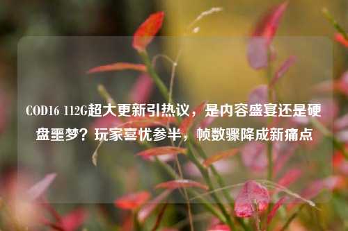 COD16 112G超大更新引热议，是内容盛宴还是硬盘噩梦？玩家喜忧参半，帧数骤降成新痛点