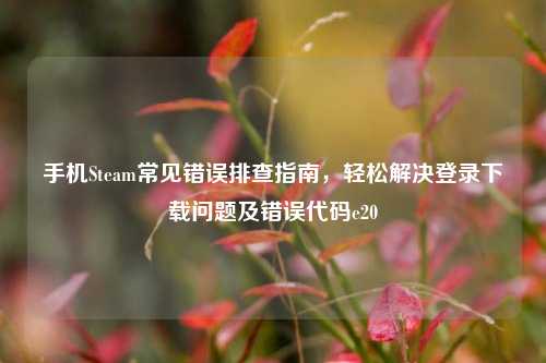 手机Steam常见错误排查指南,轻松解决登录下载问题及错误代码e20