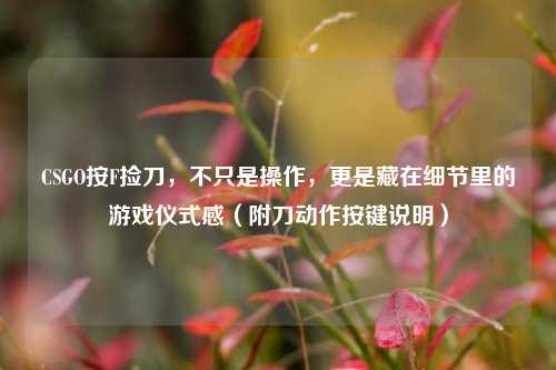 CSGO按F捡刀,不只是操作,更是藏在细节里的游戏仪式感(附刀动作按键说明)