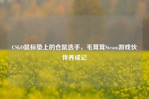 CSGO鼠标垫上的仓鼠选手,毛茸茸Steam游戏伙伴养成记
