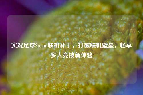 实况足球Steam联机补丁,打破联机壁垒,畅享多人竞技新体验
