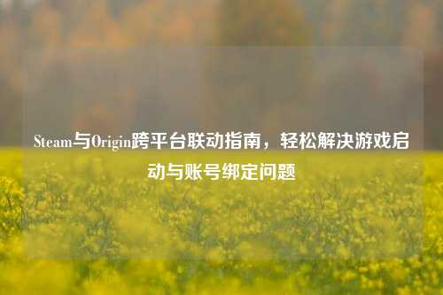 Steam与Origin跨平台联动指南,轻松解决游戏启动与账号绑定问题