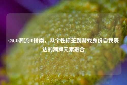 CSGO潮流ID指南,从个性标签到游戏身份自我表达的潮牌元素融合