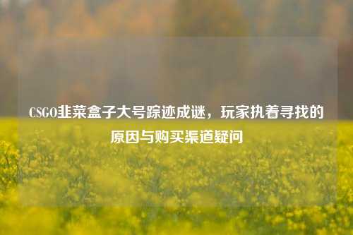 CSGO韭菜盒子大号踪迹成谜，玩家执着寻找的原因与购买渠道疑问