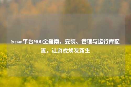 Steam平台MOD全指南，安装、管理与运行库配置，让游戏焕发新生