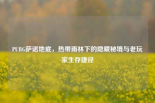 PUBG萨诺地底，热带雨林下的隐藏秘境与老玩家生存捷径