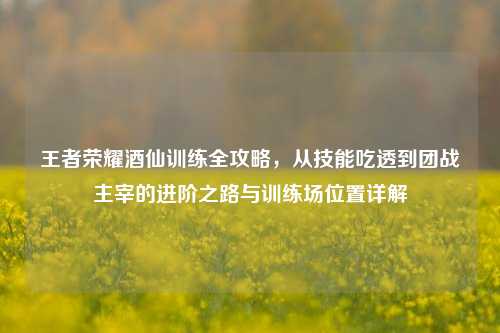 王者荣耀酒仙训练全攻略,从技能吃透到团战主宰的进阶之路与训练场位置详解