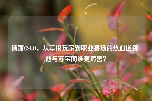 杨藩CSGO，从草根玩家到职业赛场的热血逆袭，他与苏宝同谁更厉害？