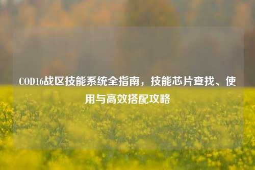 COD16战区技能系统全指南,技能芯片查找、使用与高效搭配攻略