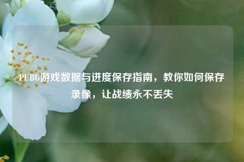 PUBG游戏数据与进度保存指南,教你如何保存录像,让战绩永不丢失