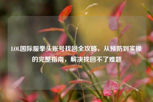 LOL国际服拳头账号找回全攻略,从预防到实操的完整指南,解决找回不了难题