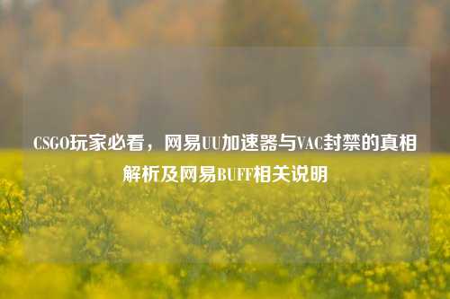 CSGO玩家必看，网易UU加速器与VAC封禁的真相解析及网易BUFF相关说明