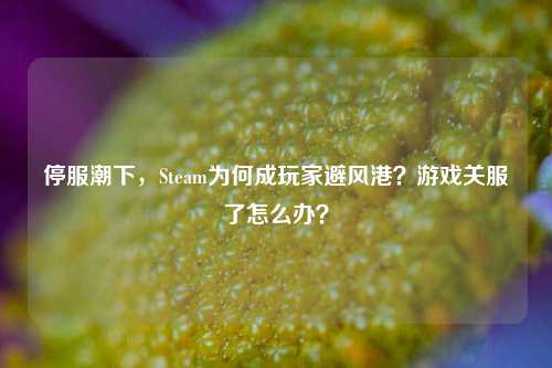 停服潮下，Steam为何成玩家避风港？游戏关服了怎么办？