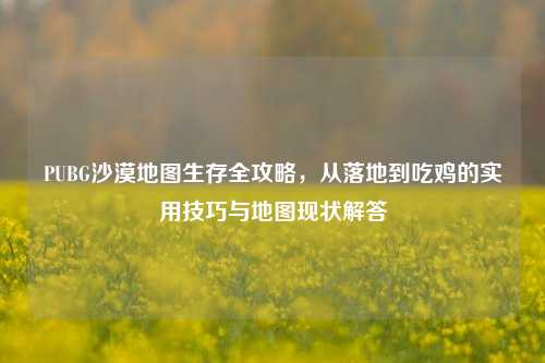 PUBG沙漠地图生存全攻略，从落地到吃鸡的实用技巧与地图现状解答