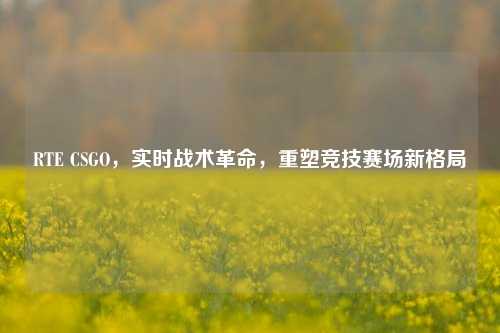 RTE CSGO,实时战术革命,重塑竞技赛场新格局
