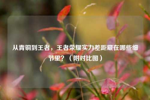 从青铜到王者,王者荣耀实力差距藏在哪些细节里?(附对比图)