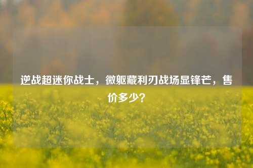 逆战超迷你战士，微躯藏利刃战场显锋芒，售价多少？