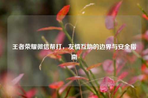 王者荣耀微信帮打，友情互助的边界与安全指南