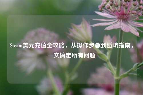 Steam美元充值全攻略，从操作步骤到避坑指南，一文搞定所有问题