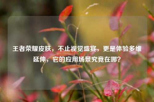 王者荣耀皮肤,不止视觉盛宴,更是体验多维延伸,它的应用场景究竟在哪?