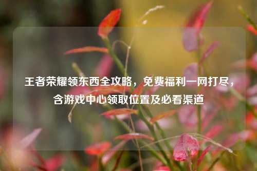 王者荣耀领东西全攻略，免费福利一网打尽，含游戏中心领取位置及必看渠道