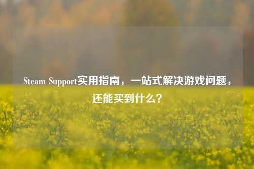 Steam Support实用指南，一站式解决游戏问题，还能买到什么？