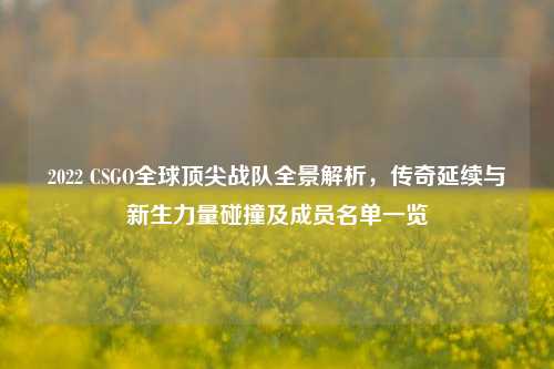 2022 CSGO全球顶尖战队全景解析，传奇延续与新生力量碰撞及成员名单一览