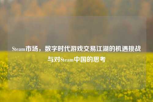 Steam市场,数字时代游戏交易江湖的机遇挑战与对Steam中国的思考