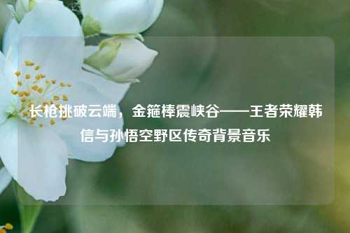 长枪挑破云端，金箍棒震峡谷——王者荣耀韩信与孙悟空野区传奇背景音乐