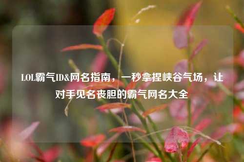 LOL霸气ID&网名指南，一秒拿捏峡谷气场，让对手见名丧胆的霸气网名大全