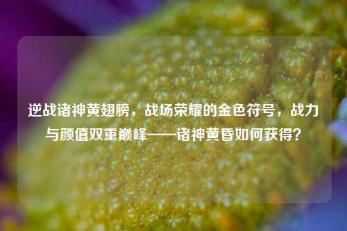 逆战诸神黄翅膀，战场荣耀的金色符号，战力与颜值双重巅峰——诸神黄昏如何获得？