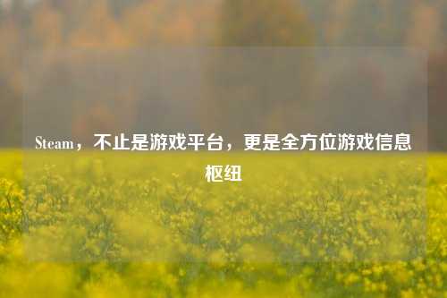 Steam，不止是游戏平台，更是全方位游戏信息枢纽