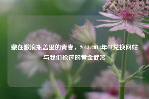 藏在激浪瓶盖里的青春，2013-2014年CF兑换网站与我们抢过的黄金武器