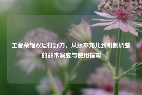 王者荣耀双层打野刀，从版本宠儿到机制调整的战术演变与使用指南