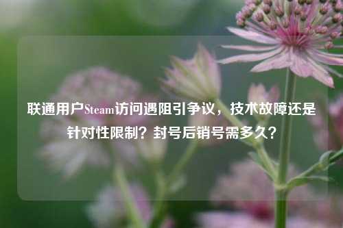 联通用户Steam访问遇阻引争议，技术故障还是针对性限制？封号后销号需多久？