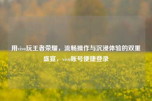 用vivo玩王者荣耀，流畅操作与沉浸体验的双重盛宴，vivo账号便捷登录